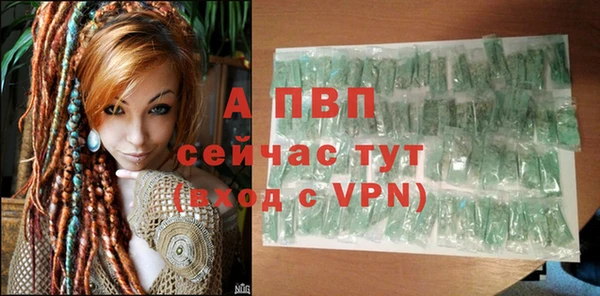 apvp Богородицк