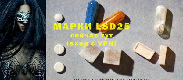 mdpv Бородино