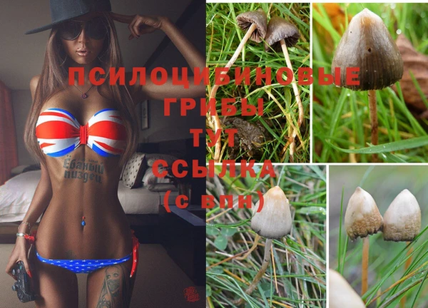 мескалин Богородск