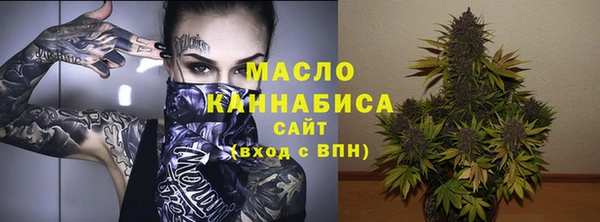 mdpv Бородино